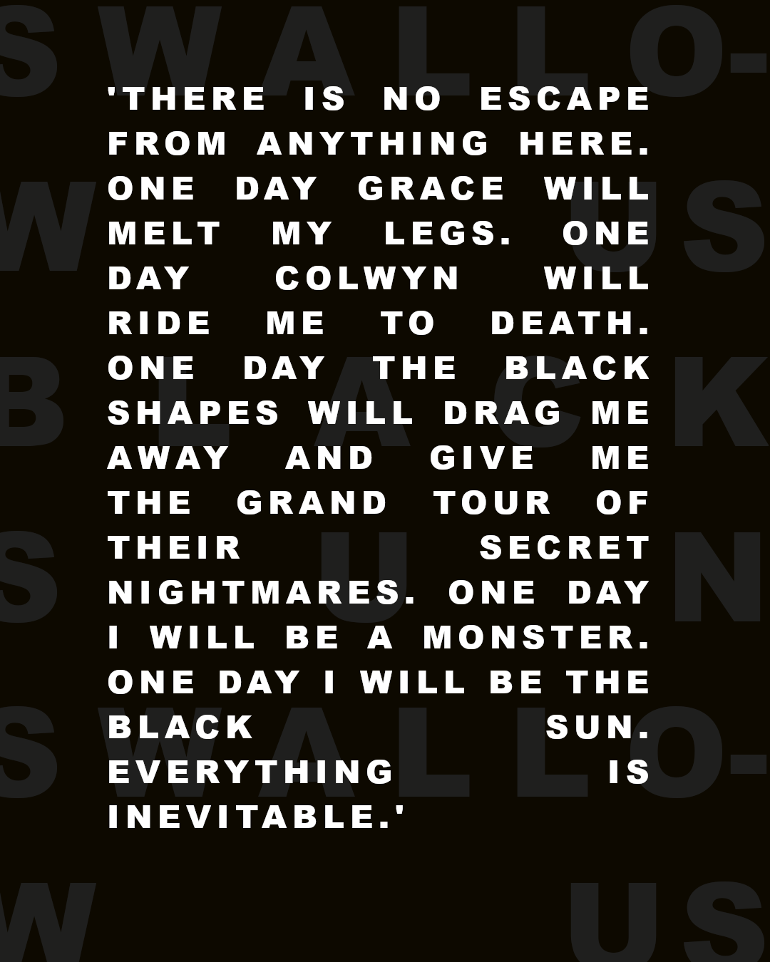 Swallow Us, Black Sun - Image 2