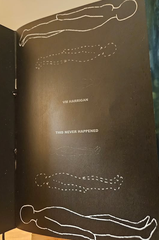 This Never Happened - Image 4